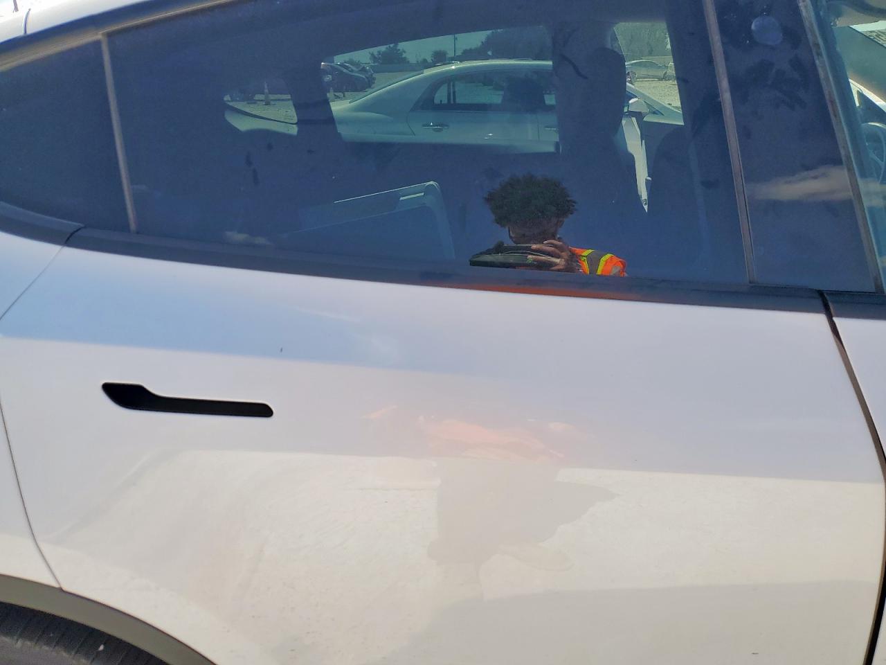 2024 Tesla Model Y VIN: 7SAYGDEE9RA289842 Lot: 82169115