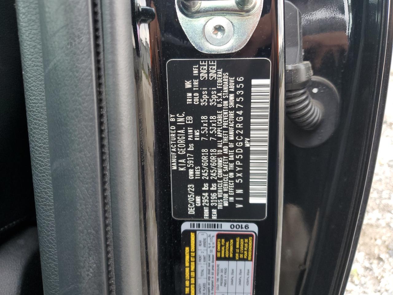 2024 Kia Telluride Sx VIN: 5XYP5DGC2RG475356 Lot: 71189885