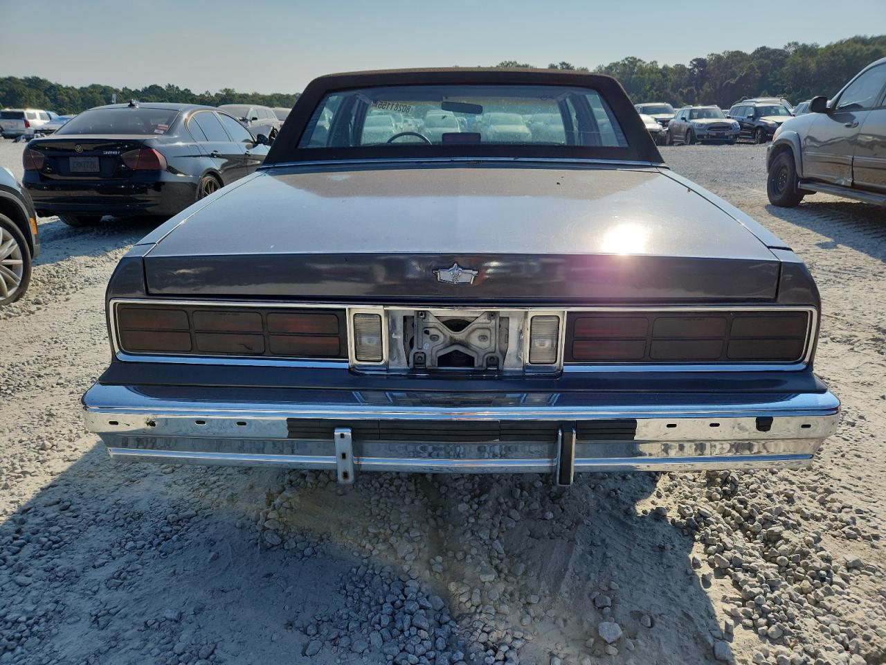 1985 Chevrolet Caprice Classic VIN: 1G1BN69H6FY135833 Lot: 80281155