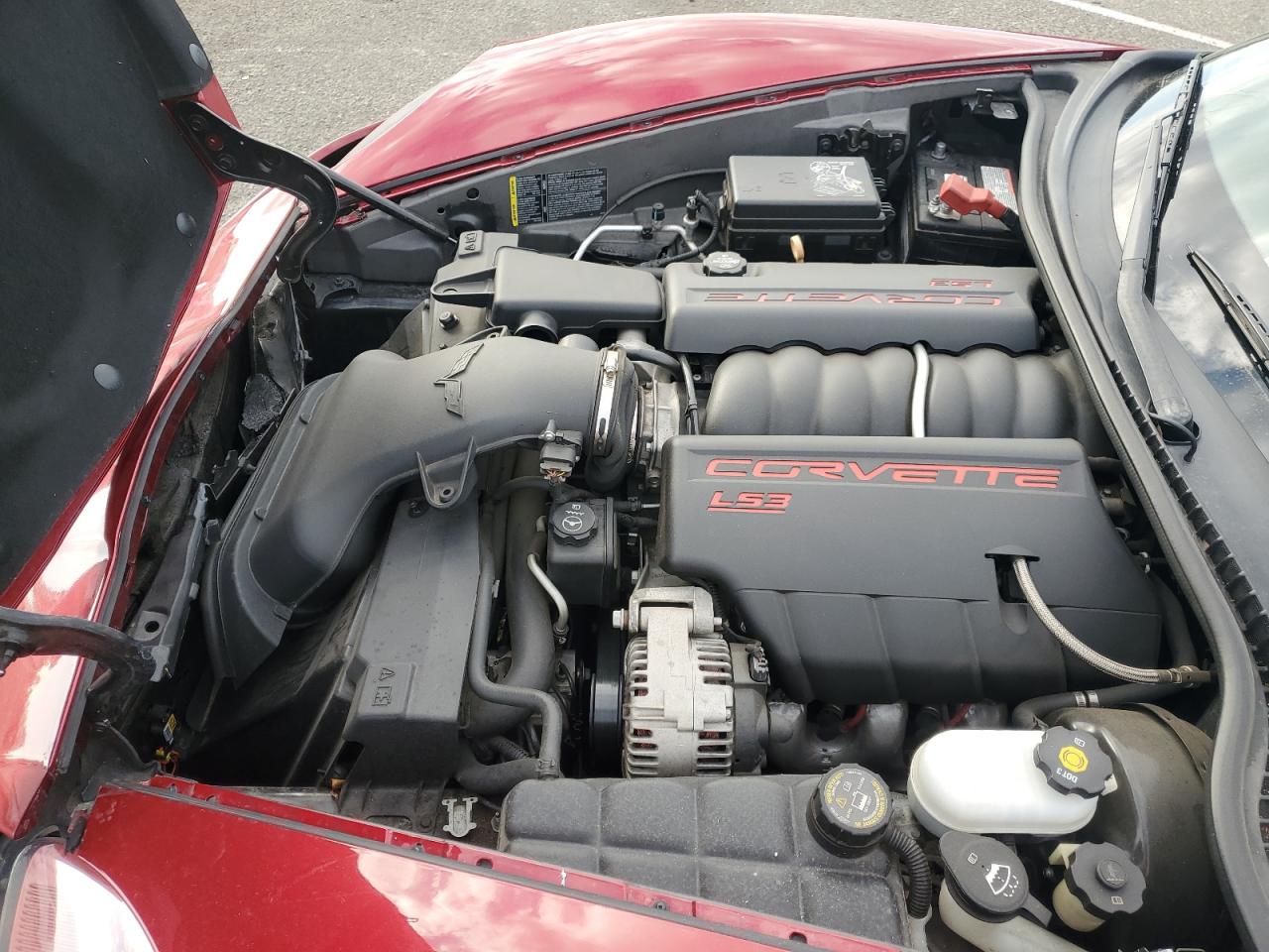 2008 Chevrolet Corvette VIN: 1G1YY36W685117050 Lot: 81802095