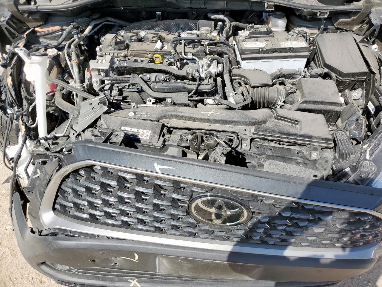 2024 Toyota Corolla Cross Xle VIN: 7MUDAAAG0RV101085 Lot: 82064035