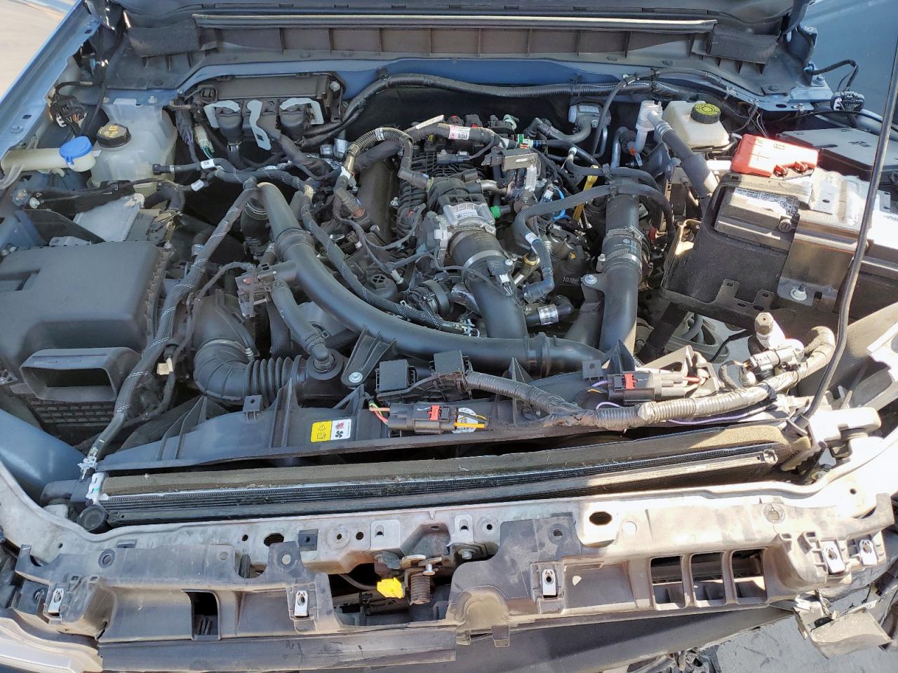 2023 Ford Bronco Base VIN: 1FMEE5DPXPLB37821 Lot: 81831165