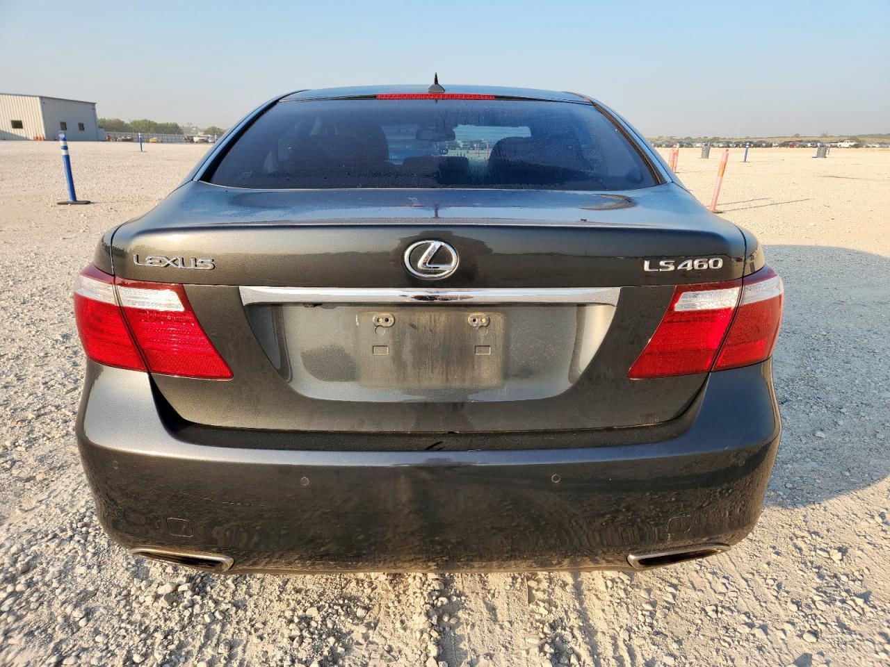 2009 Lexus Ls 460 VIN: JTHBL46F295086882 Lot: 81059495