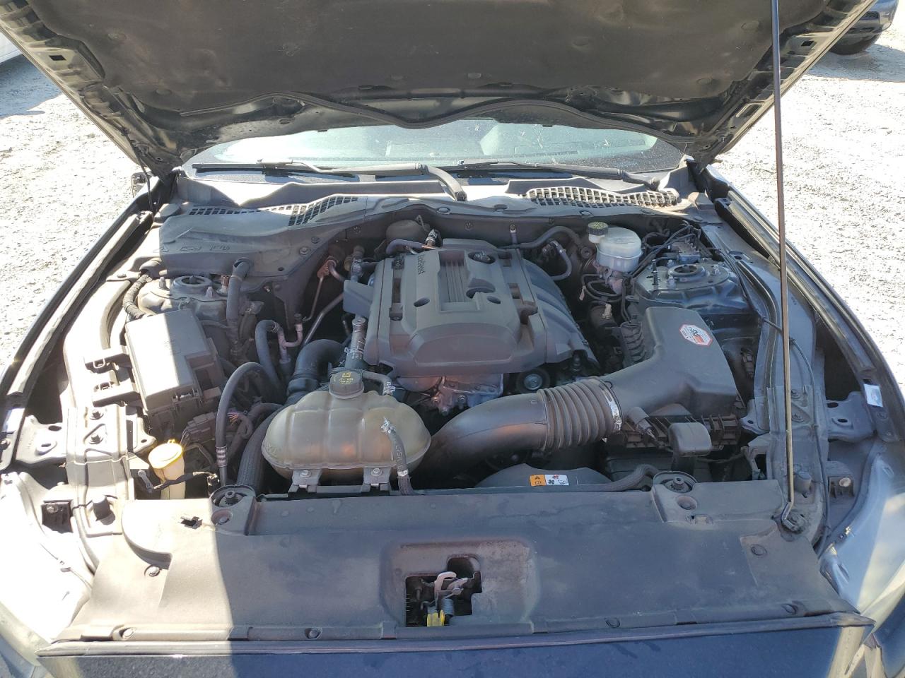 2016 Ford Mustang VIN: 1FA6P8THXG5216026 Lot: 84152615