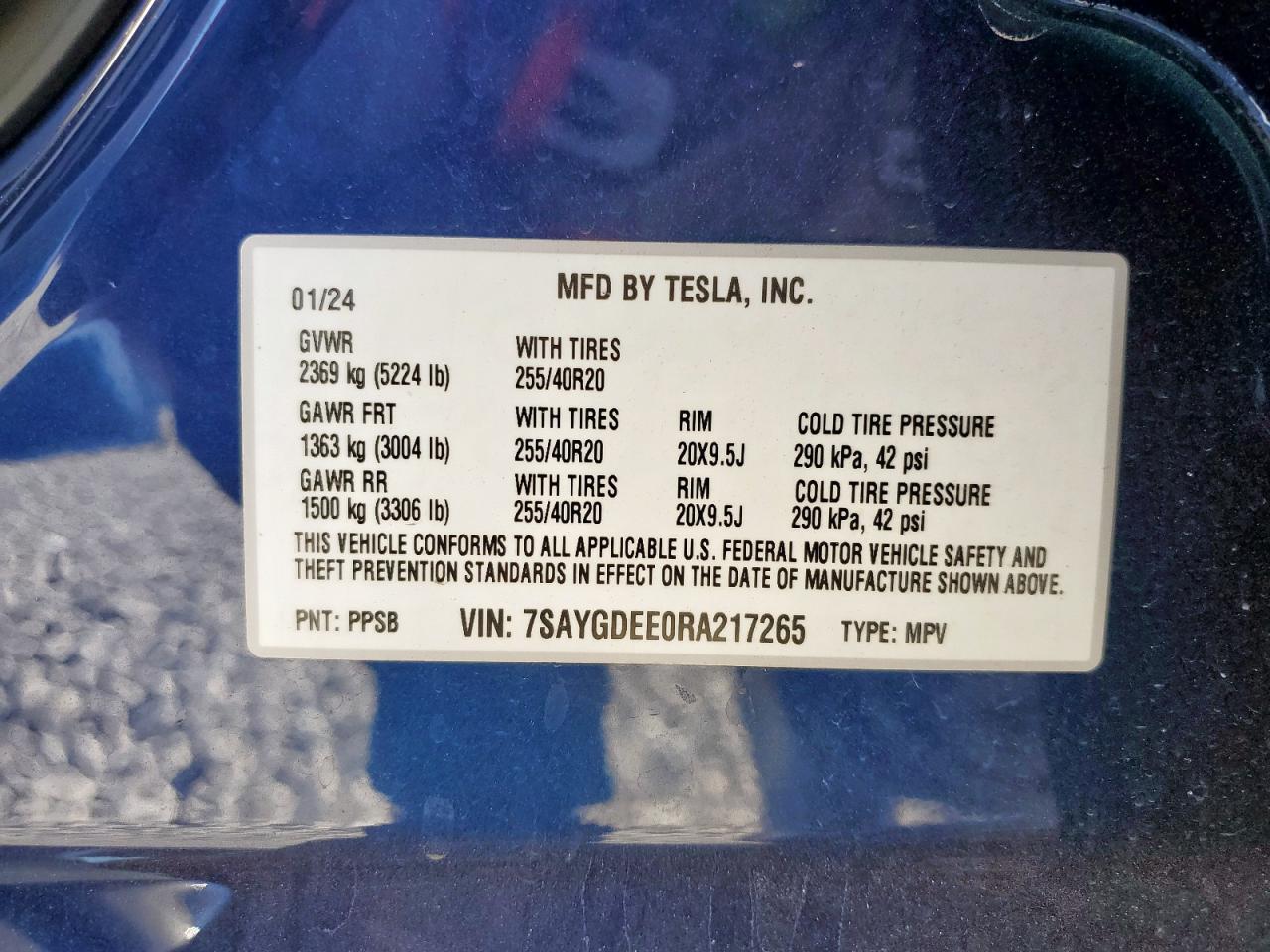 2024 Tesla Model Y VIN: 7SAYGDEE0RA217265 Lot: 81842945