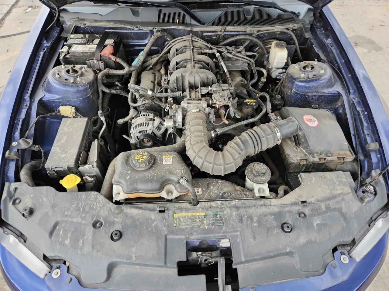 2010 Ford Mustang VIN: 1ZVBP8AN9A5141325 Lot: 80408515