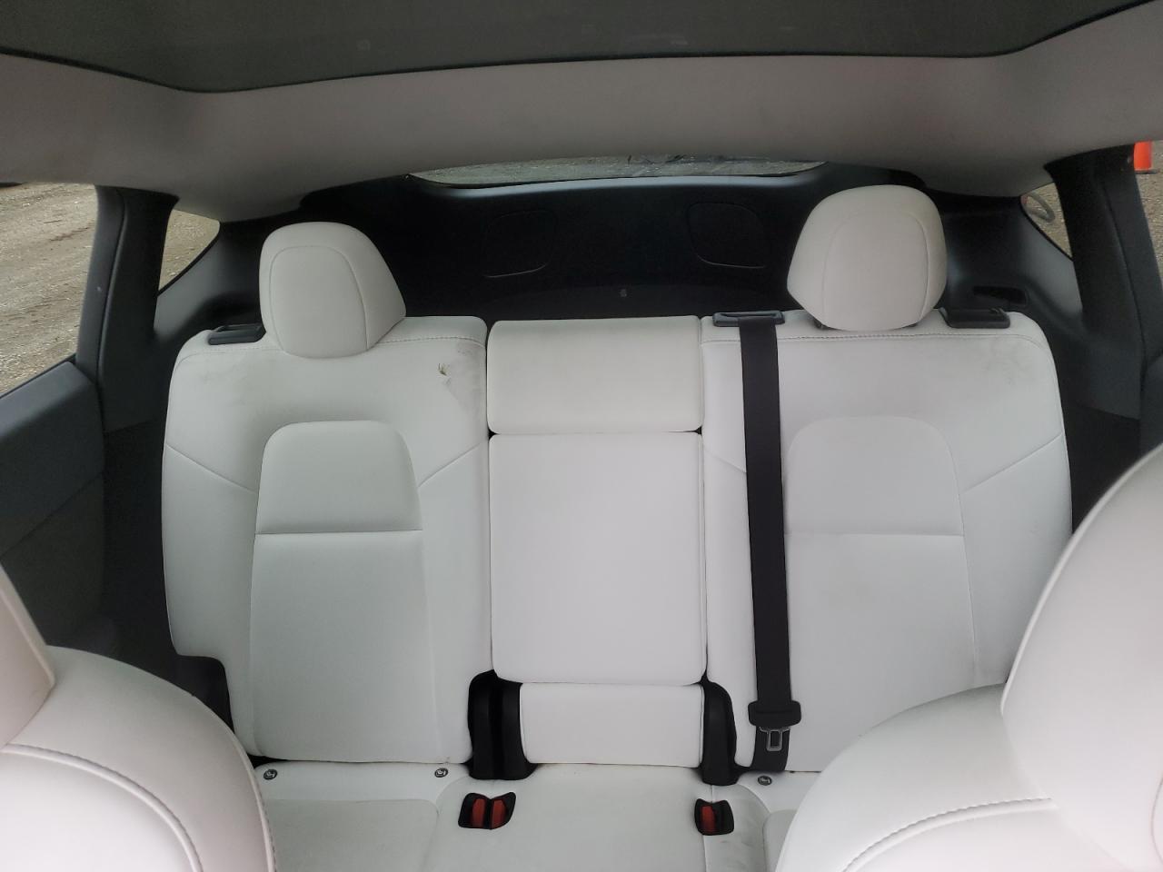 2024 Tesla Model Y VIN: 7SAYGDED4RF153032 Lot: 84019125