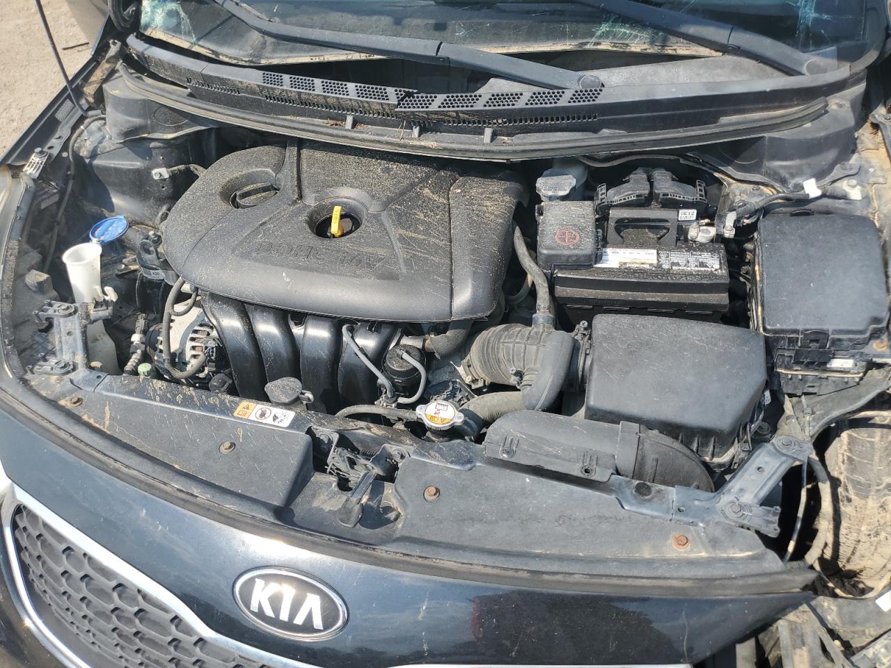 2016 Kia Forte Lx VIN: KNAFK4A62G5584958 Lot: 81315765