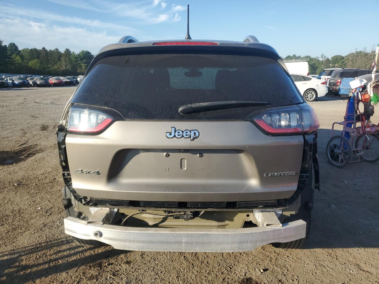 2019 Jeep Cherokee Limited VIN: 1C4PJMDN4KD116774 Lot: 71153205