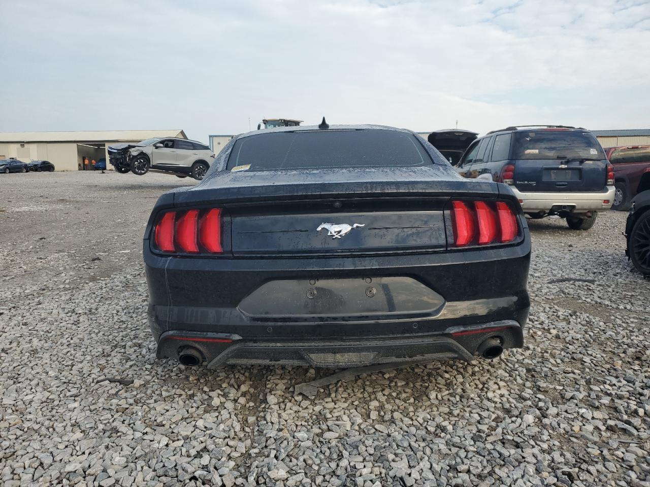 2021 Ford Mustang VIN: 1FA6P8TH7M5112895 Lot: 81184325