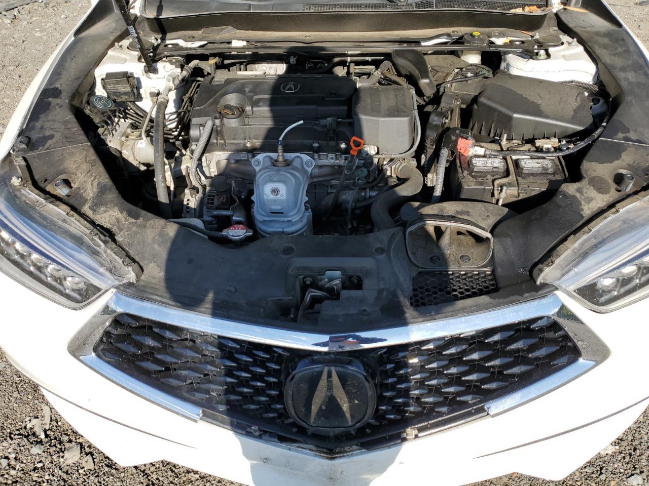 2020 Acura Tlx Technology VIN: 19UUB1F57LA015051 Lot: 70950885