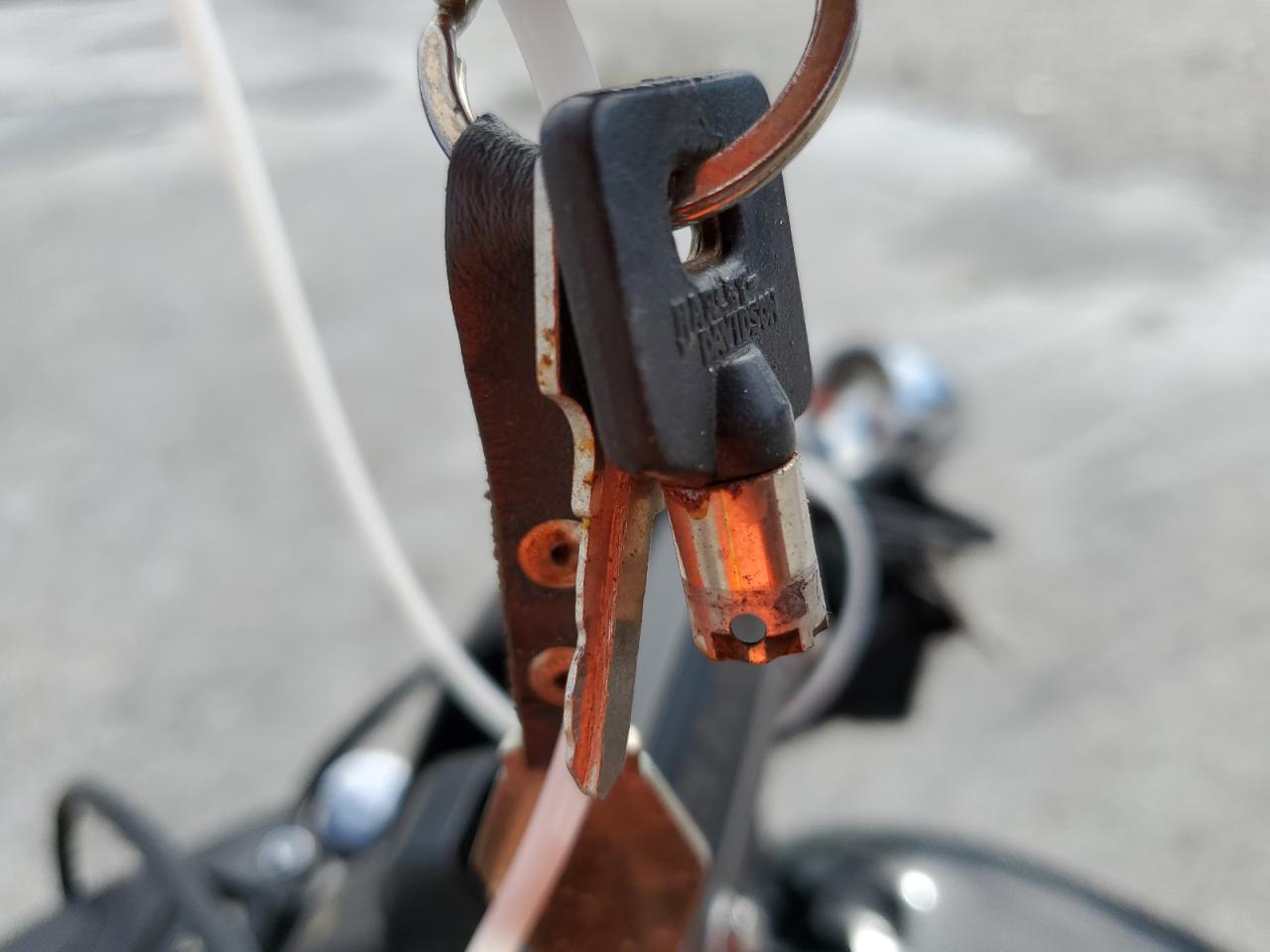 2005 Harley-Davidson Fxdi VIN: 1HD1GMW125K331518 Lot: 83779555