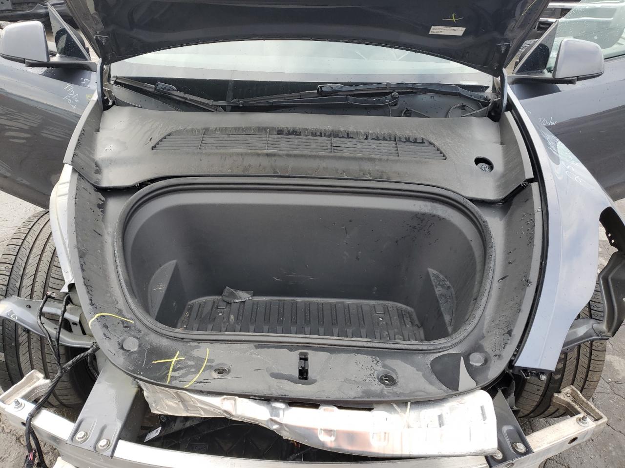 2023 Tesla Model Y VIN: 7SAYGDEEXPA024277 Lot: 81400865