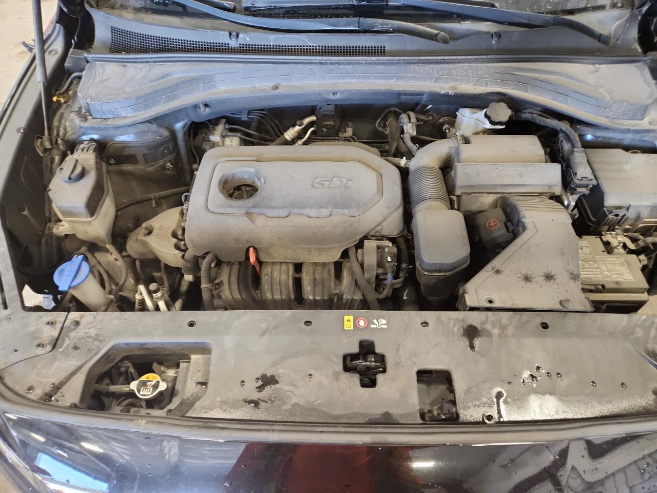 2019 Hyundai Santa Fe Sel VIN: 5NMS3CAD9KH117288 Lot: 80373575