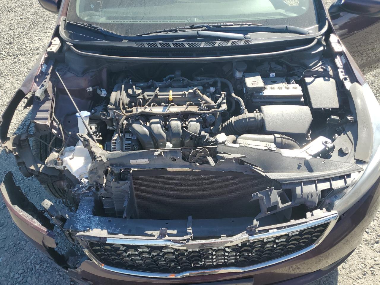 2017 Kia Forte Lx VIN: 3KPFK4A75HE031867 Lot: 81848875