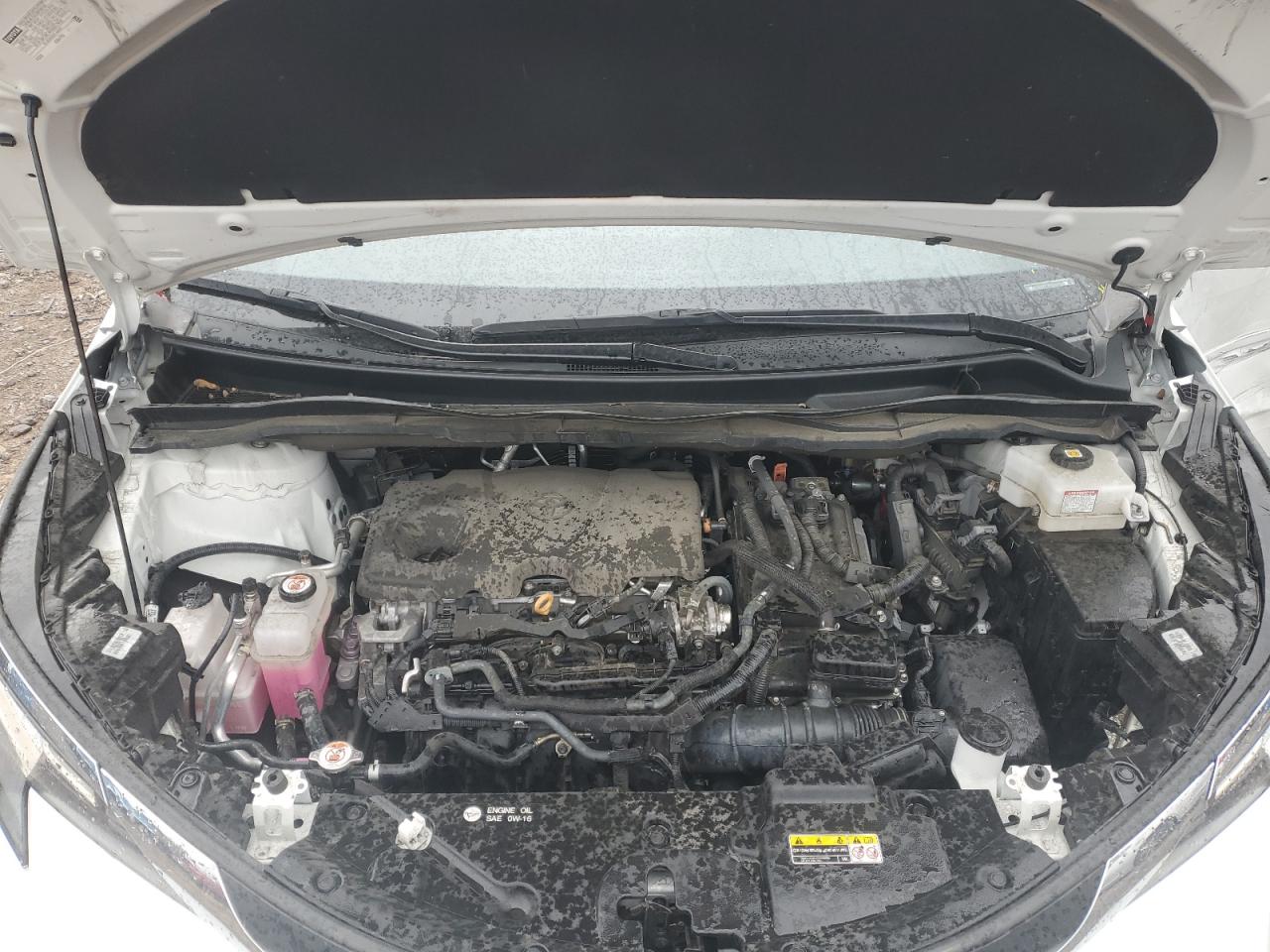 2023 Toyota Sienna Xle VIN: 5TDYRKEC5PS141080 Lot: 80446075