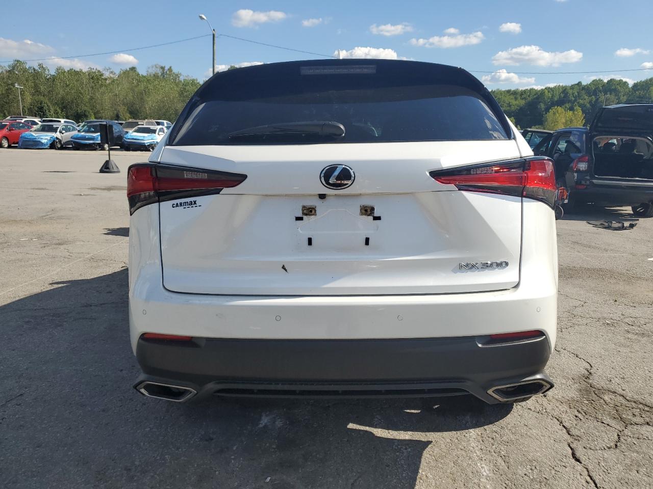 2021 Lexus Nx 300 Base VIN: JTJDARDZ9M5028509 Lot: 81855445