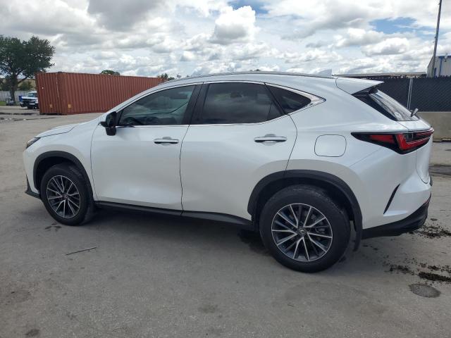  LEXUS NX 350 PRE 2024 Белы