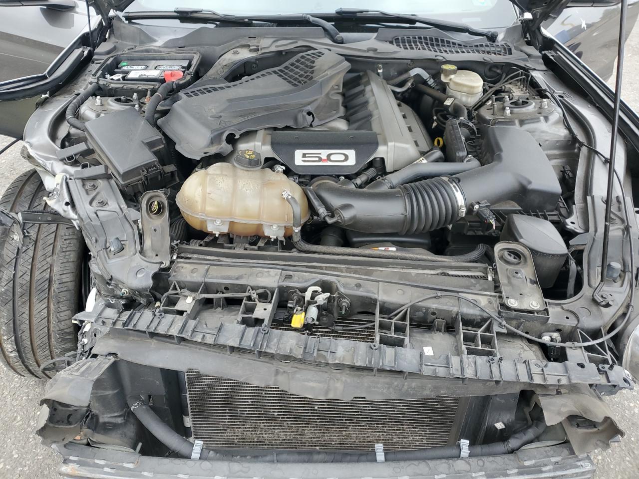 2015 Ford Mustang Gt VIN: 1FA6P8CF9F5431376 Lot: 72066935