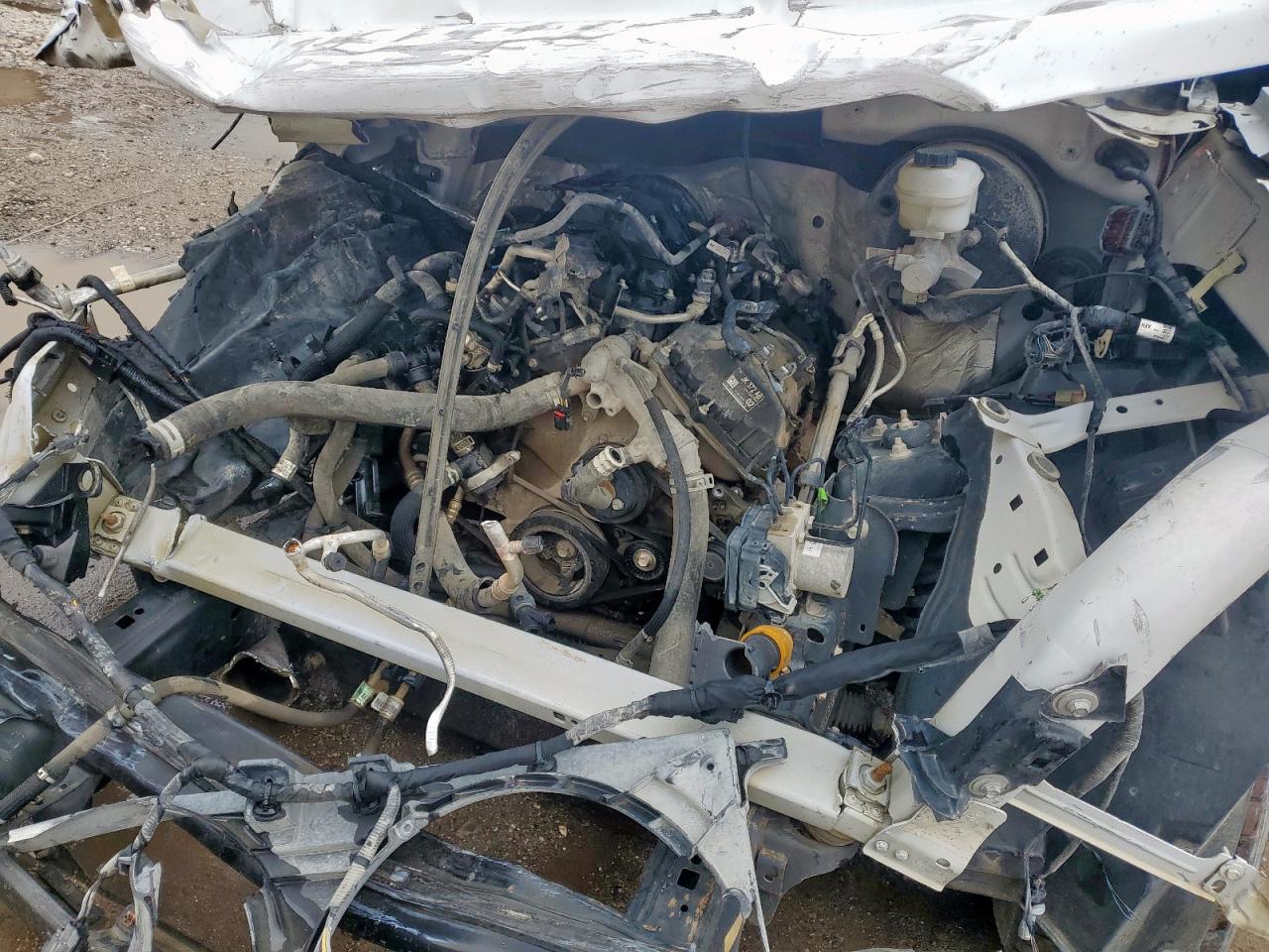 2019 Ford F150 VIN: 1FTMF1CB0KKE68370 Lot: 82156635