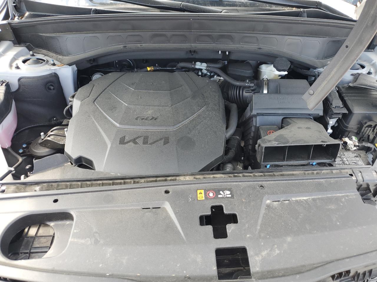 2024 Kia Telluride Ex VIN: 5XYP3DGC4RG491094 Lot: 81747235