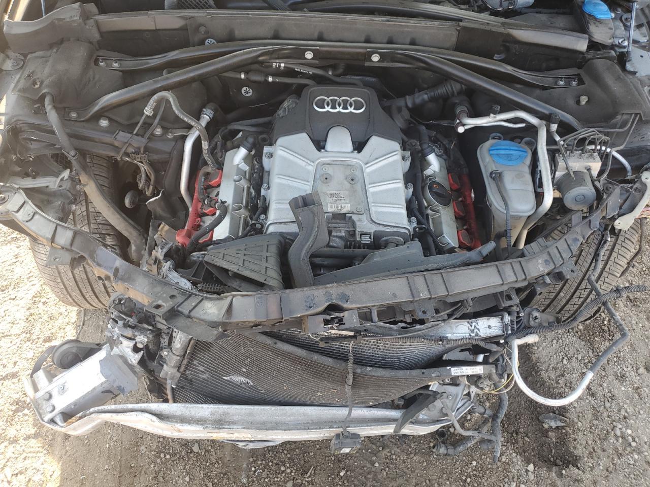 2013 Audi Q5 Premium Plus VIN: WA1DGAFP8DA055085 Lot: 81072205