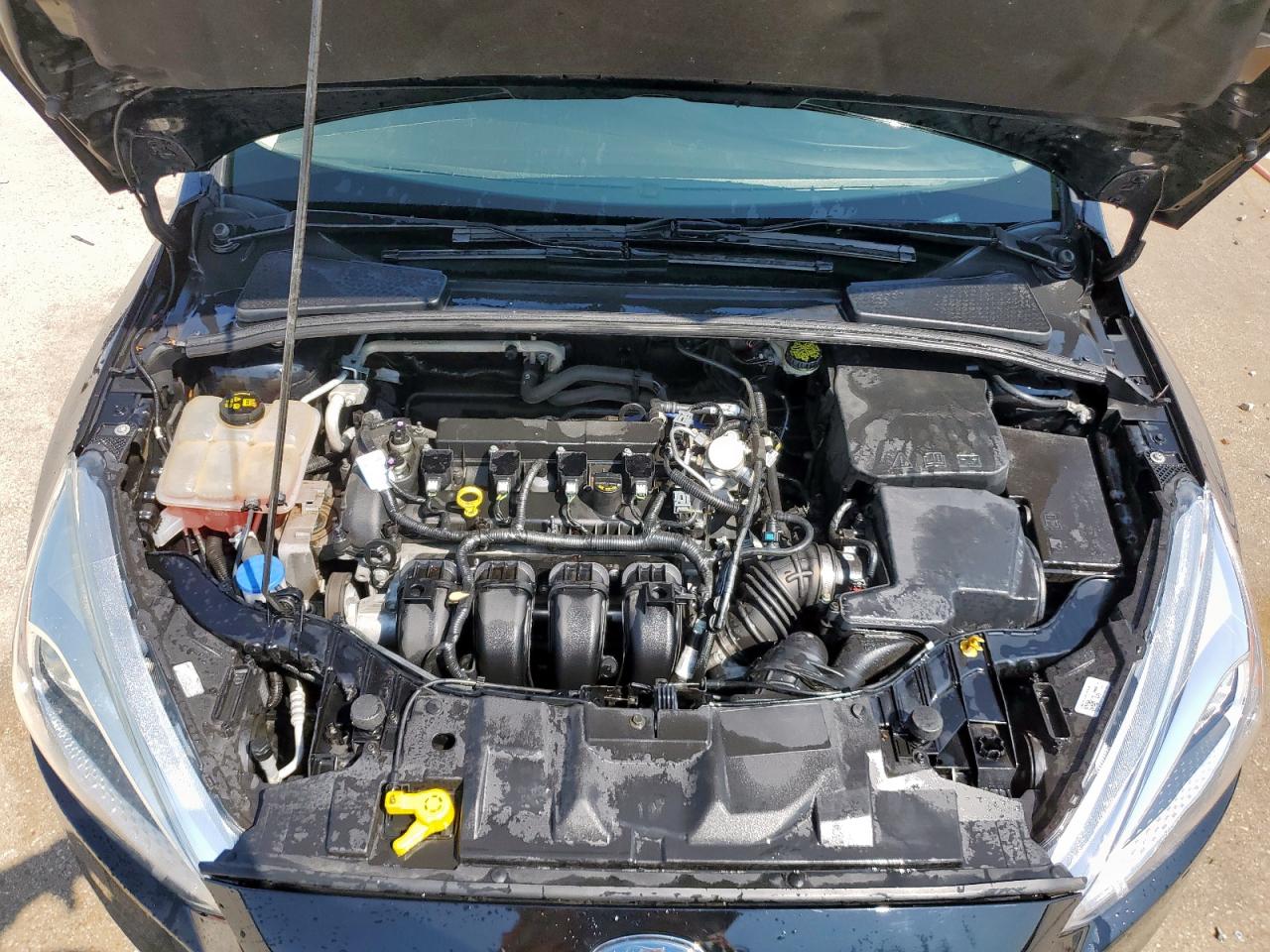 2016 Ford Focus Se VIN: 1FADP3K23GL394914 Lot: 71978745