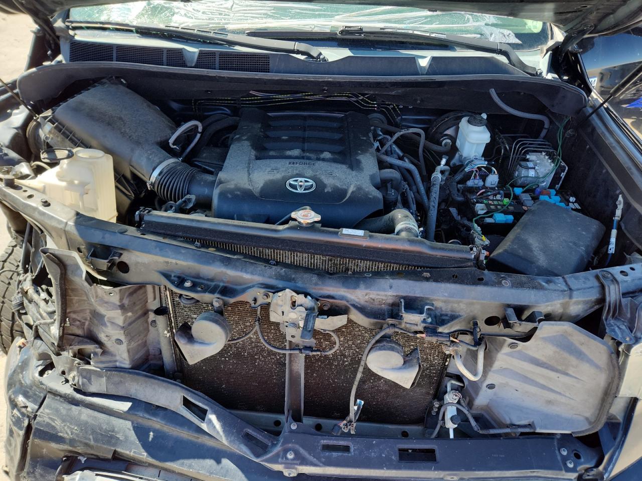 2019 Toyota Tundra Crewmax 1794 VIN: 5TFAY5F17KX809175 Lot: 81087335