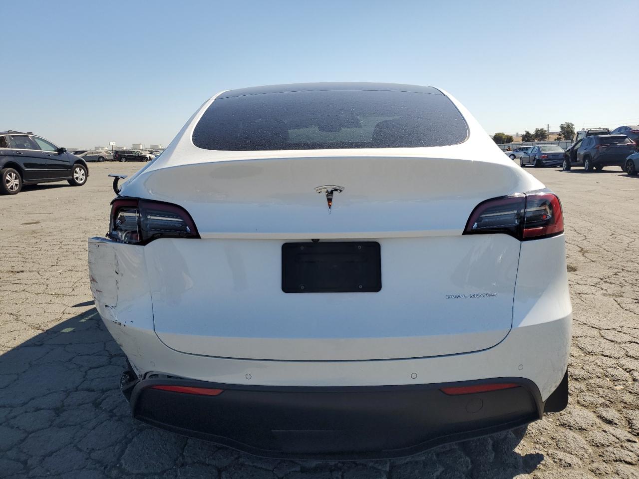 2022 Tesla Model Y VIN: 7SAYGAEE9NF405214 Lot: 81676505