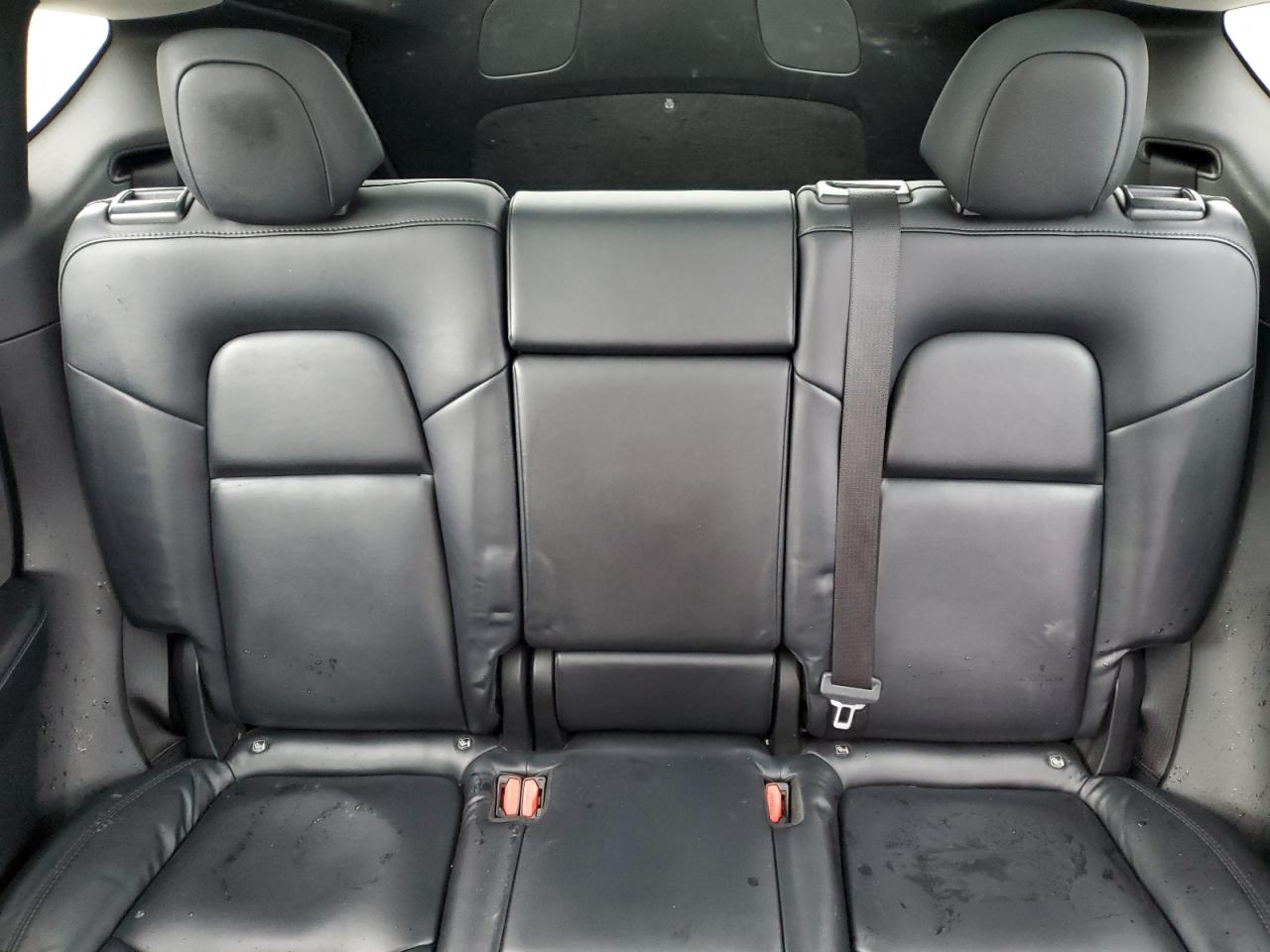 2022 Tesla Model Y VIN: 7SAYGDEE2NF393456 Lot: 80469405