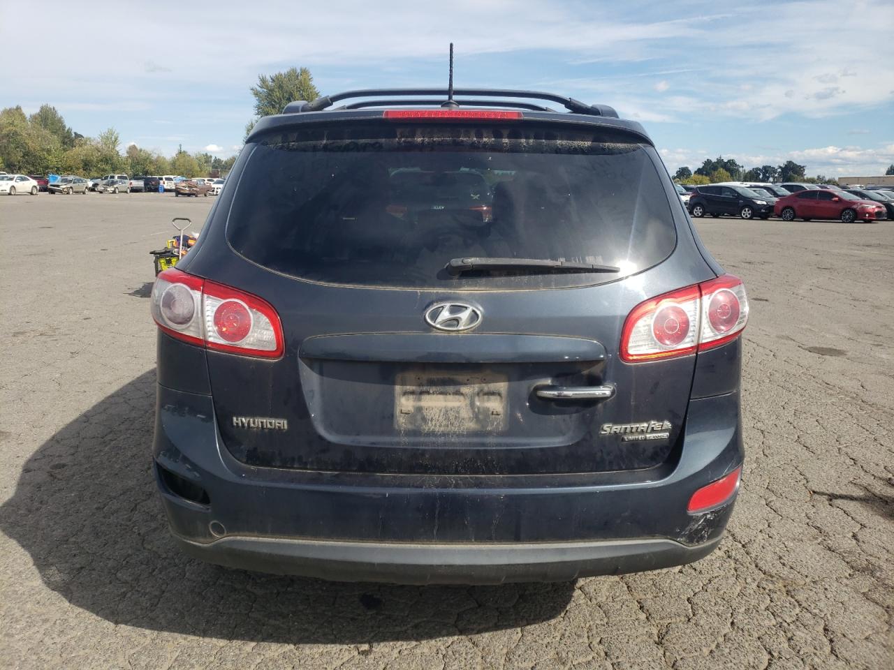 2010 Hyundai Santa Fe Limited VIN: 5NMSKDAGXAH386157 Lot: 84475585
