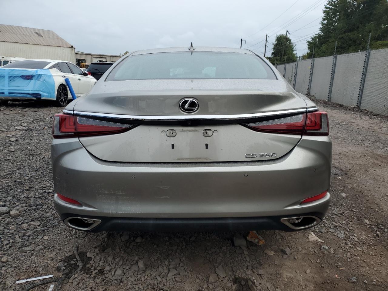 2019 Lexus Es 350 VIN: 58ABZ1B12KU013293 Lot: 80077145