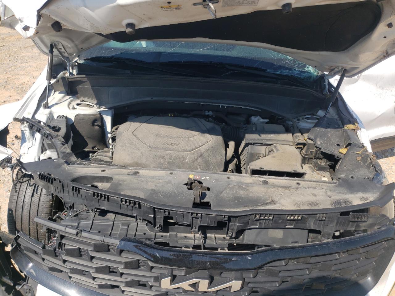 2022 Kia Telluride Sx VIN: 5XYP5DHC0NG197937 Lot: 80295575