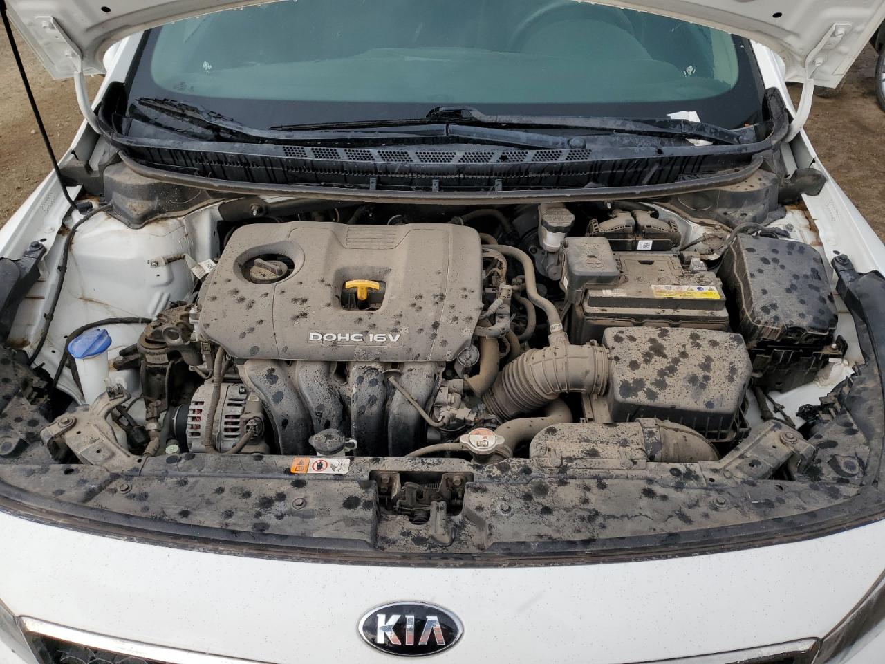 2017 Kia Forte Lx VIN: 3KPFK4A71HE074246 Lot: 81316125