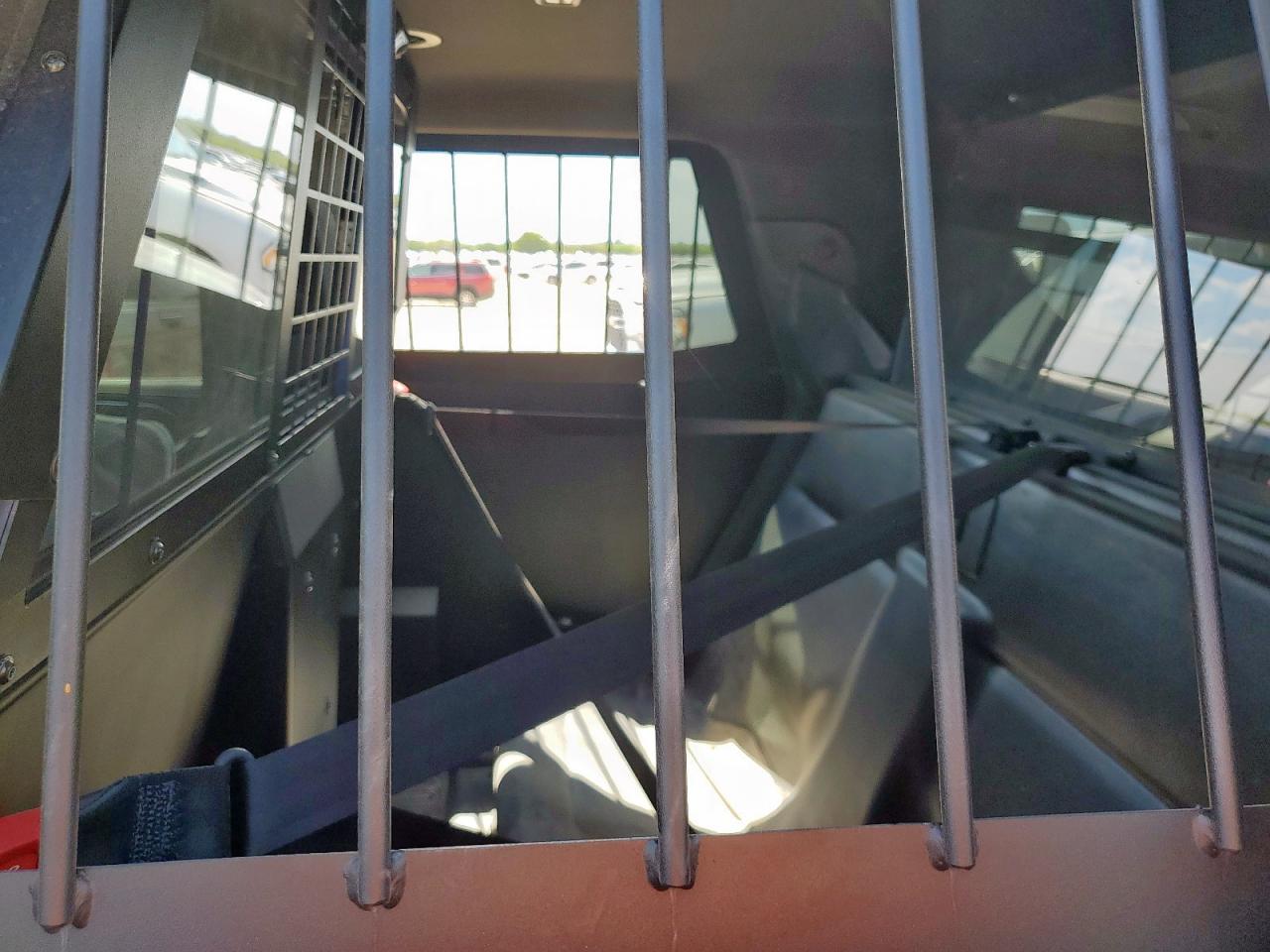 2024 Chevrolet Tahoe K1500 VIN: 1GNSKLED0RR371000 Lot: 80215415