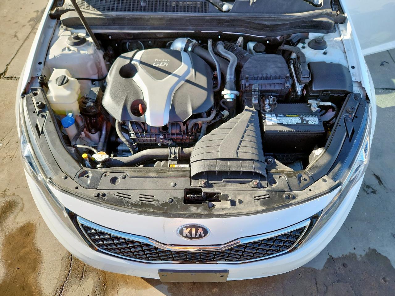 2013 Kia Optima Sx VIN: 5XXGR4A65DG234220 Lot: 81566445