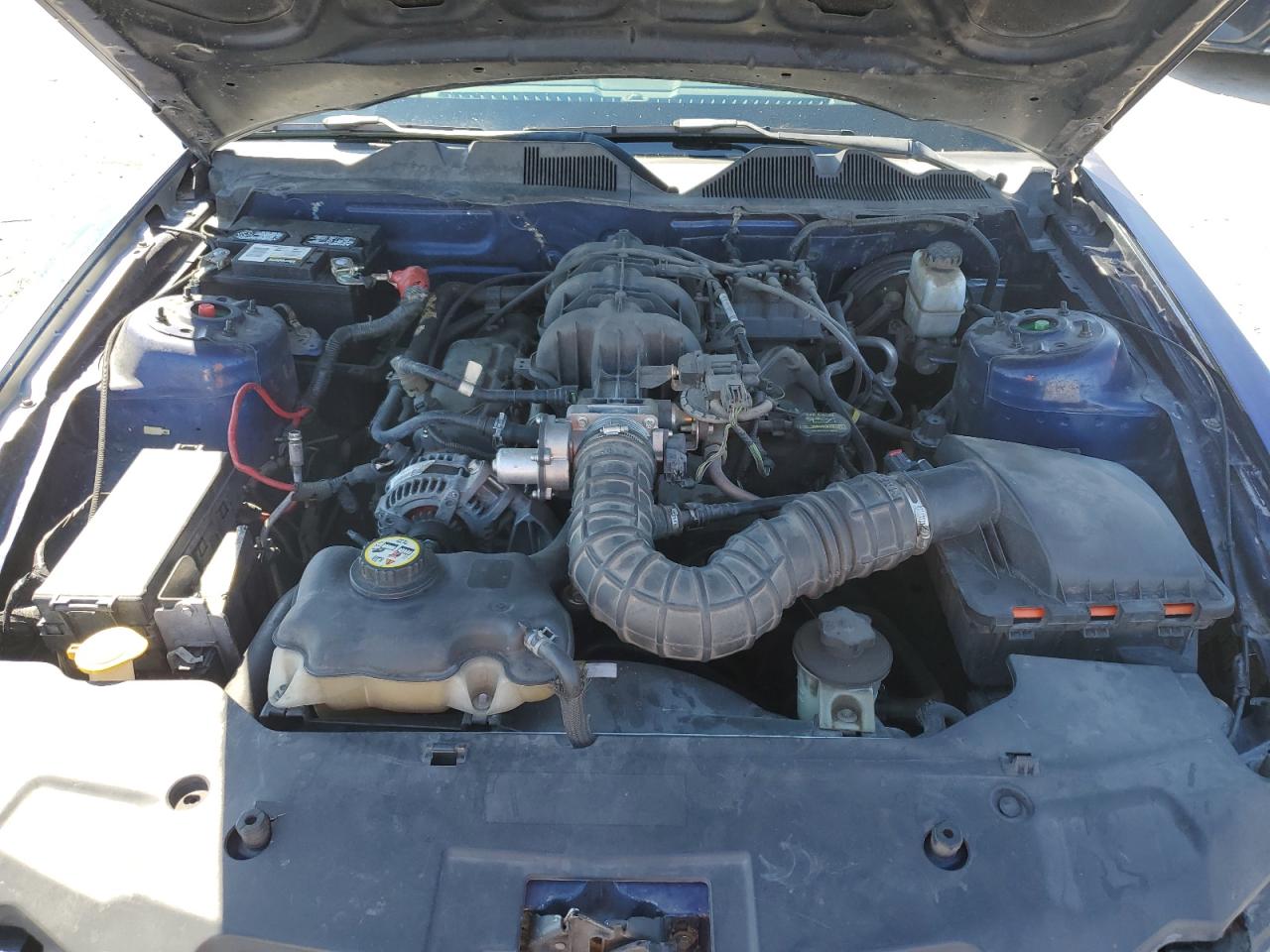 2010 Ford Mustang VIN: 1ZVBP8EN6A5107370 Lot: 81142295