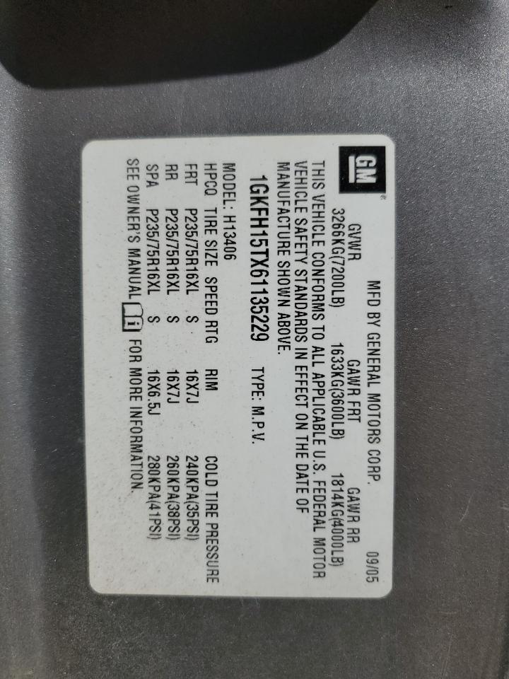 2006 GMC Savana G1500 VIN: 1GKFH15TX61135229 Lot: 80481655