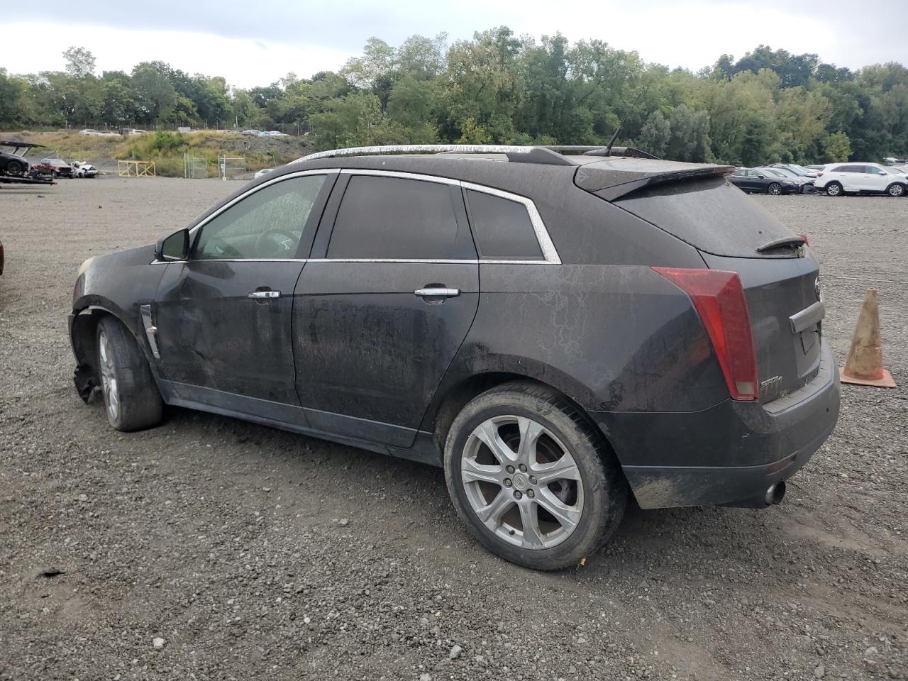 2011 Cadillac Srx Performance Collection 3GYFNEEY8BS650014 photo #3