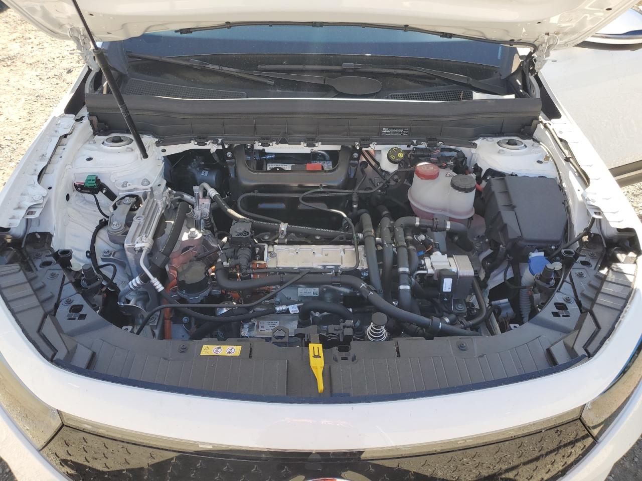 2024 Mercedes-Benz Eqb 250+ VIN: W1N9M0CB1RN088798 Lot: 71751875