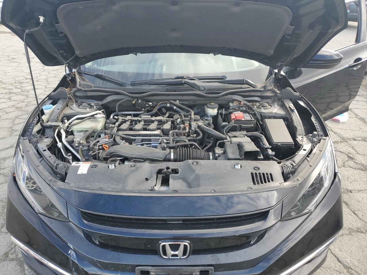 2019 Honda Civic Ex VIN: JHMFC1F38KX010552 Lot: 84533535