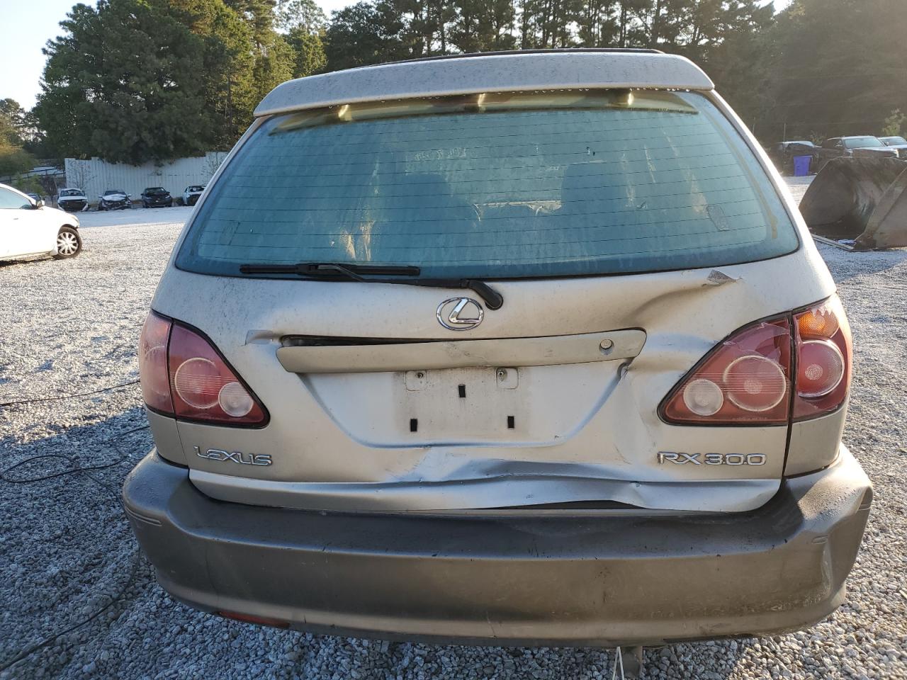 1999 Lexus Rx 300 VIN: JT6HF10U4X0058933 Lot: 80376025