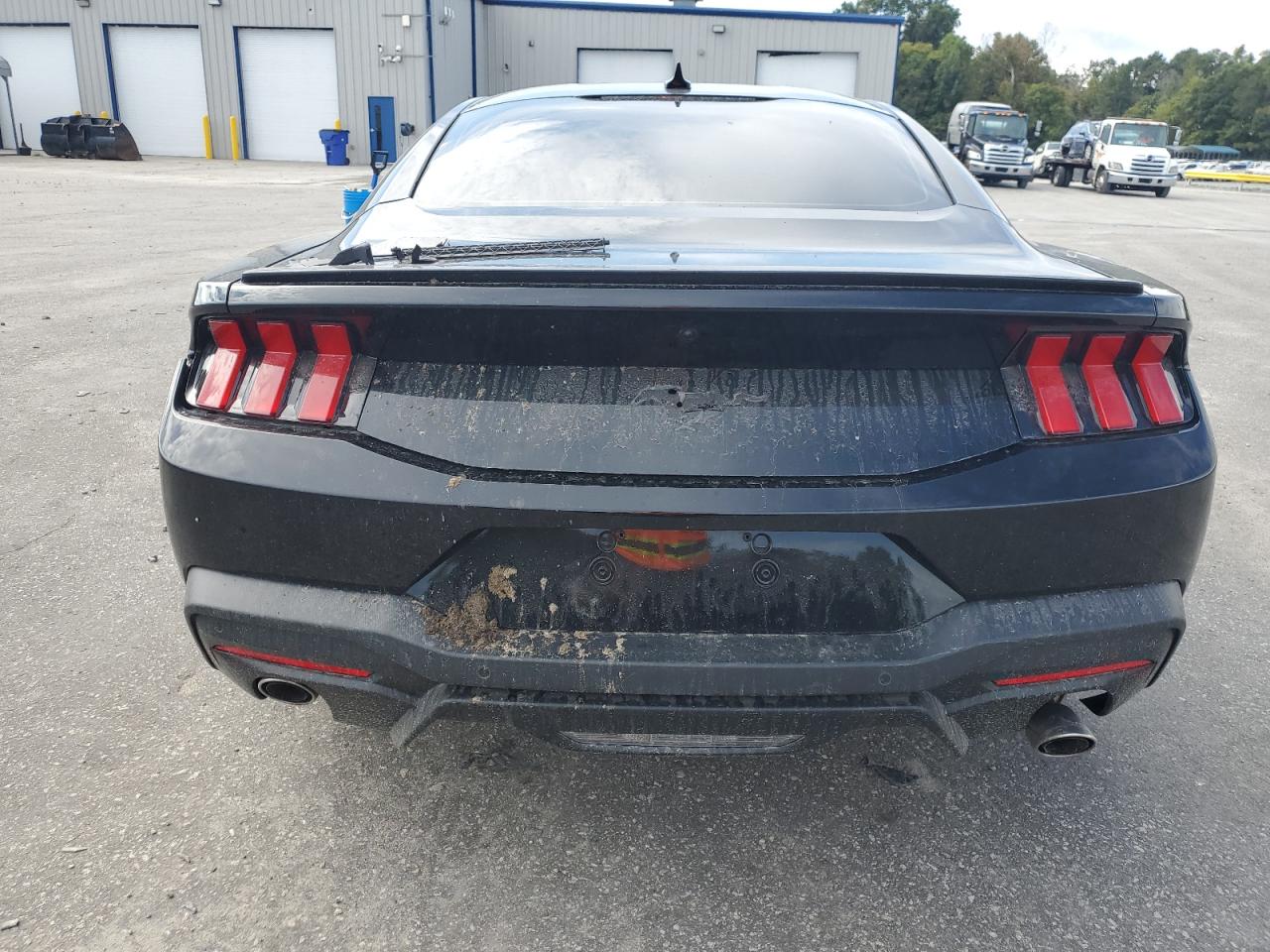 2025 Ford Mustang VIN: 1FA6P8TH4S5103858 Lot: 81803715