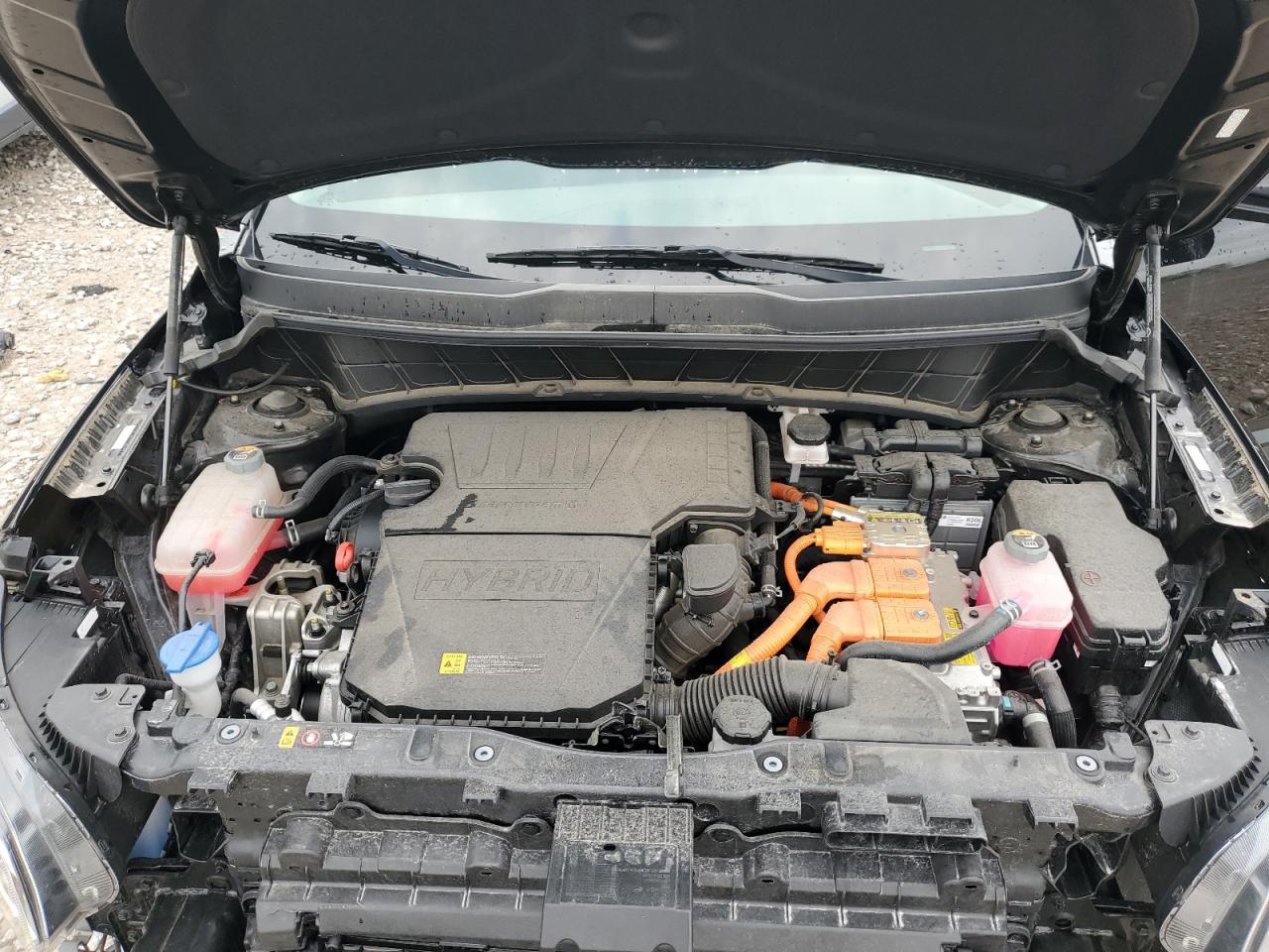 2023 Kia Niro Ex VIN: KNDCR3LE4P5079181 Lot: 81382955