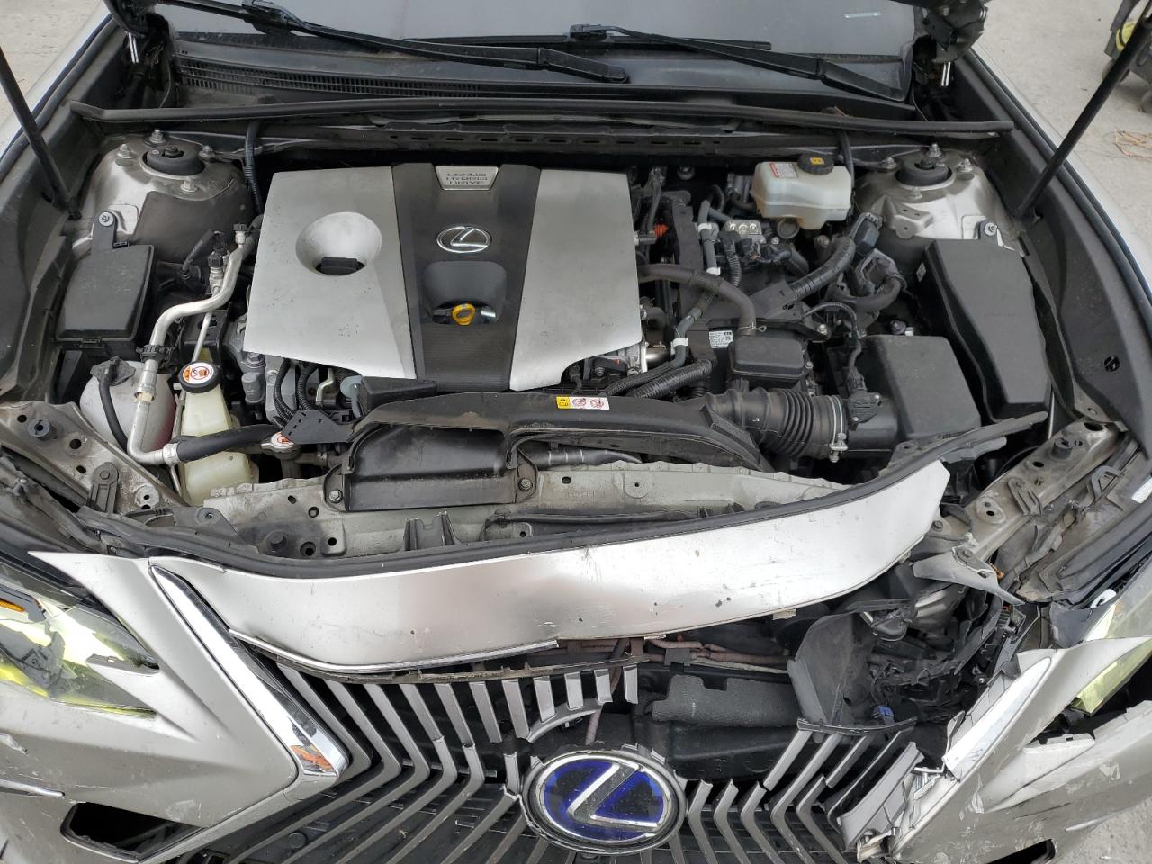 2019 Lexus Es 300H VIN: JTHB21B10K2012279 Lot: 84401945