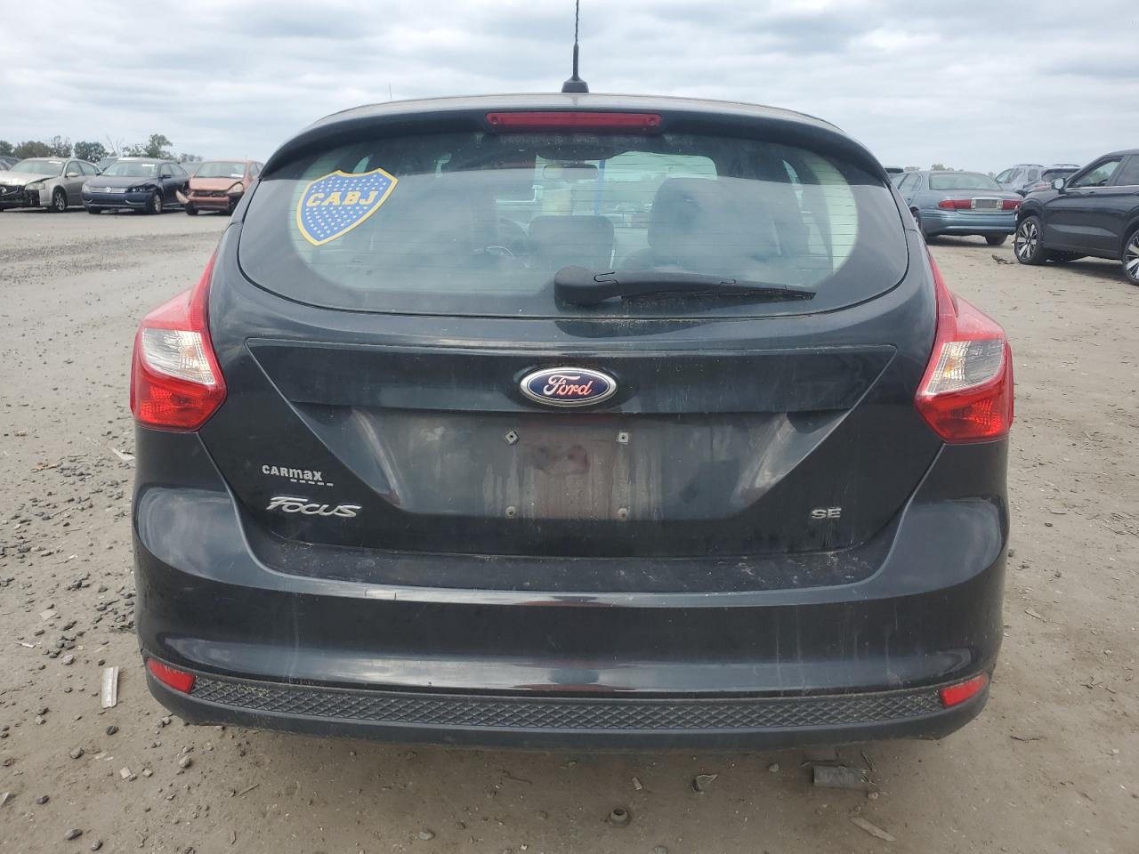 2014 Ford Focus Se VIN: 1FADP3K20EL309783 Lot: 82097205