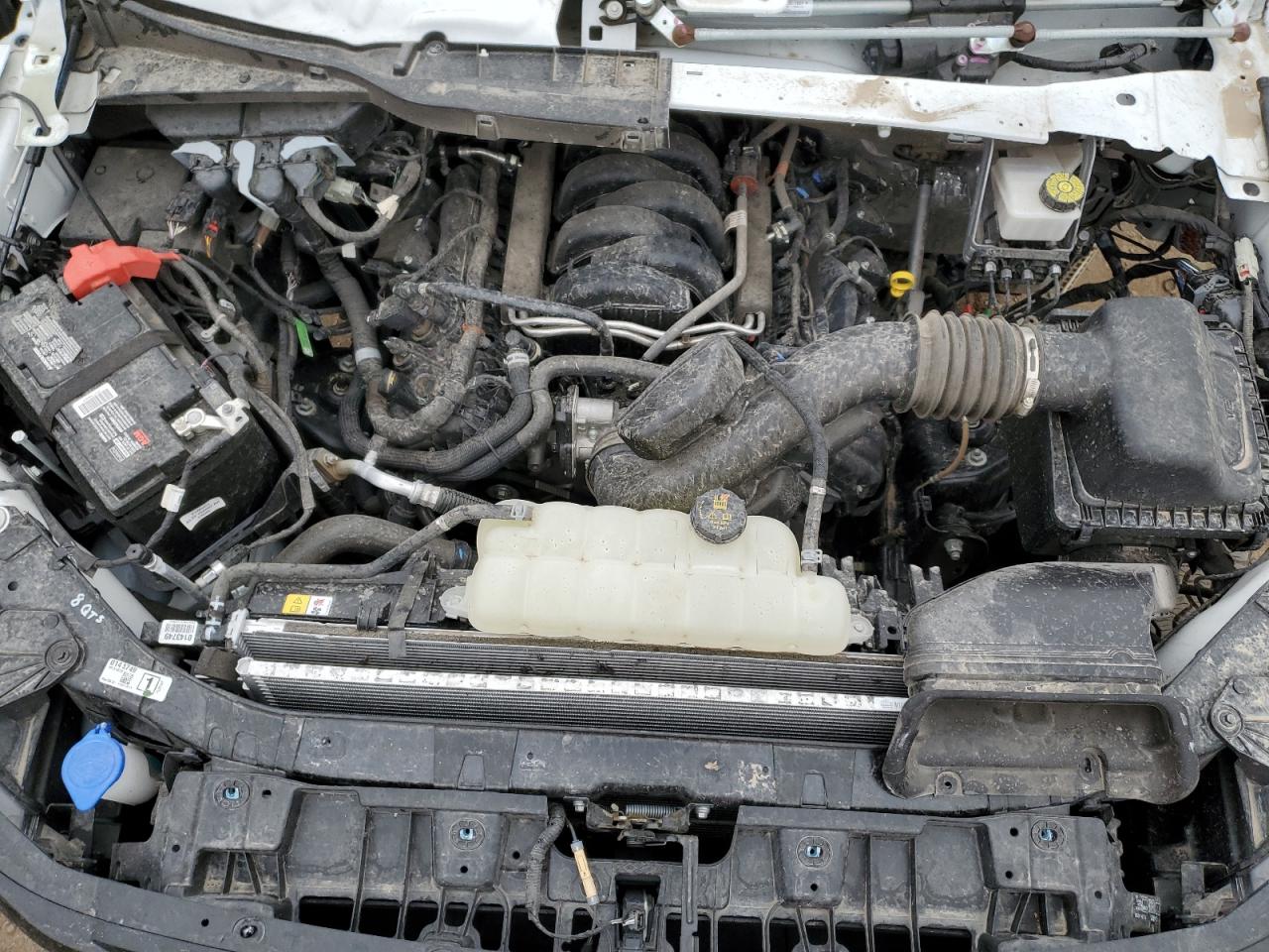 2024 Ford F150 Xlt VIN: 1FTFW3L5XRKD06593 Lot: 71000235