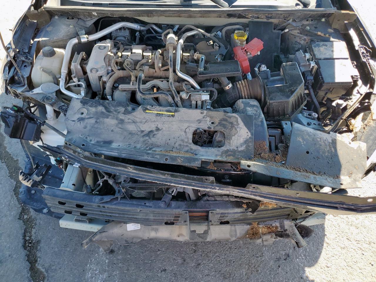 2023 Nissan Sentra Sv VIN: 3N1AB8CV8PY245796 Lot: 80731655