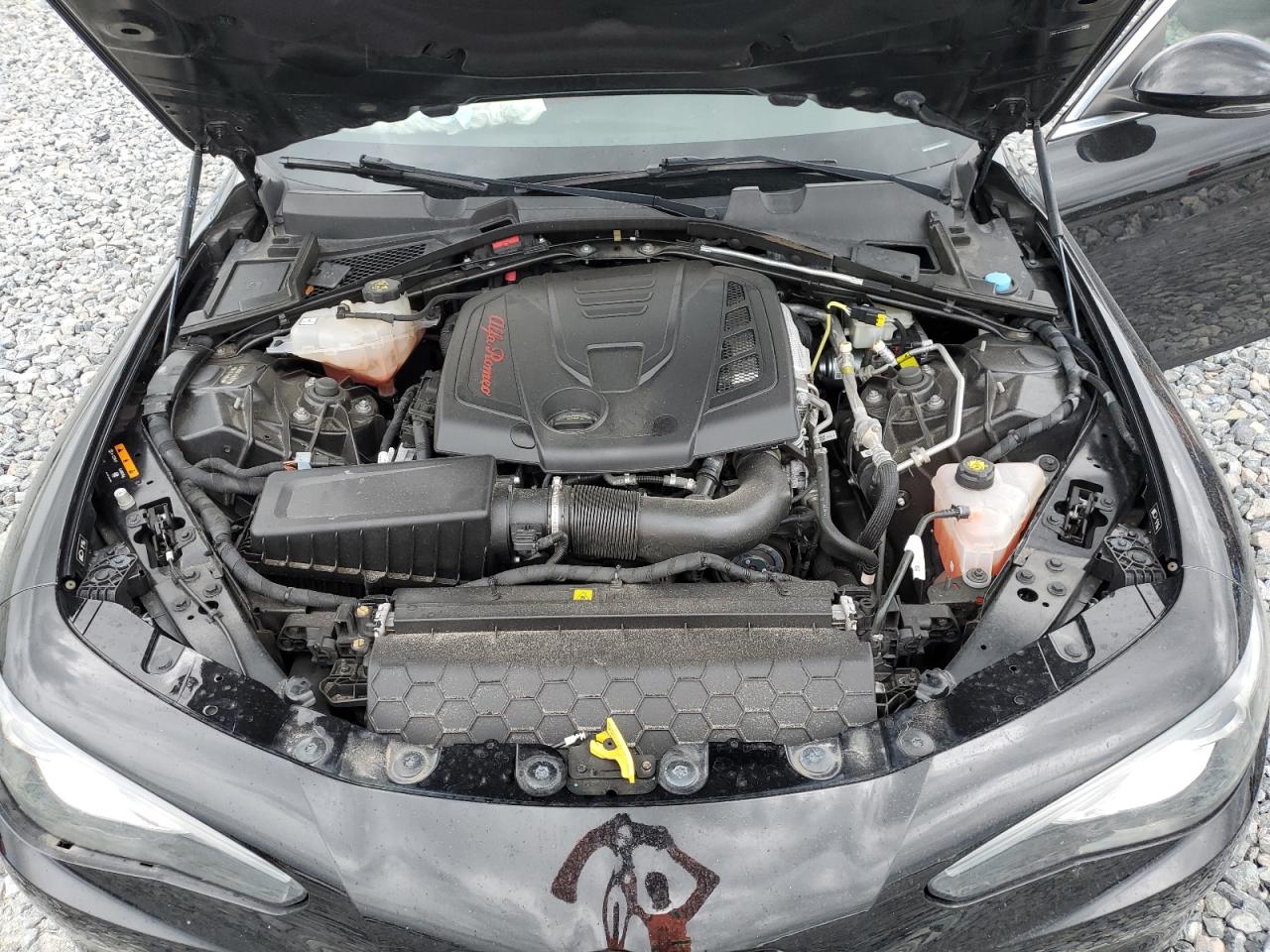 2021 Alfa Romeo Giulia Sport VIN: ZARFAMAN1M7640620 Lot: 81029865