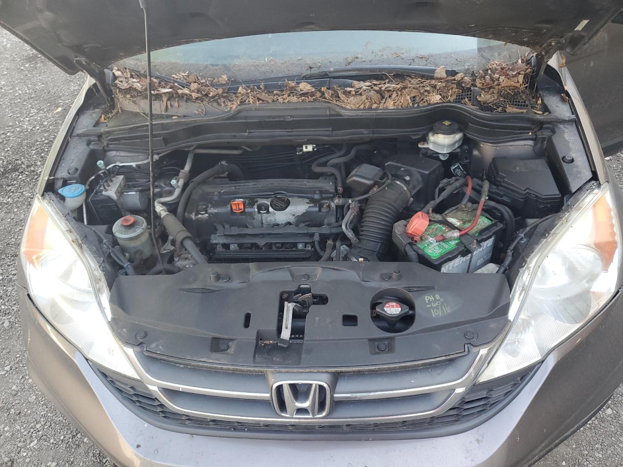 2011 Honda Cr-V Lx VIN: 5J6RE4H34BL066772 Lot: 80134955